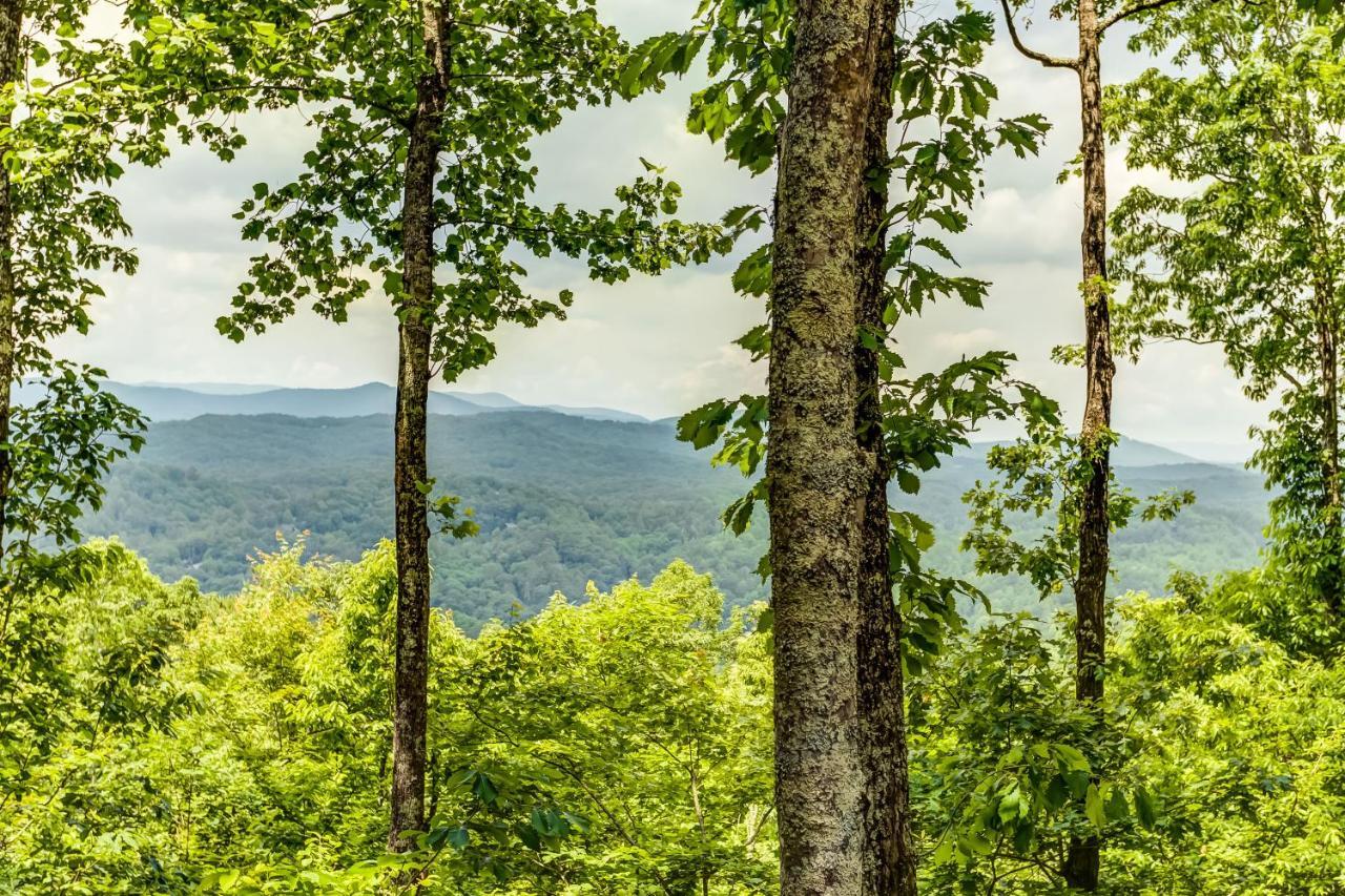 Vila Misty Mountains Blue Ridge Exteriér fotografie